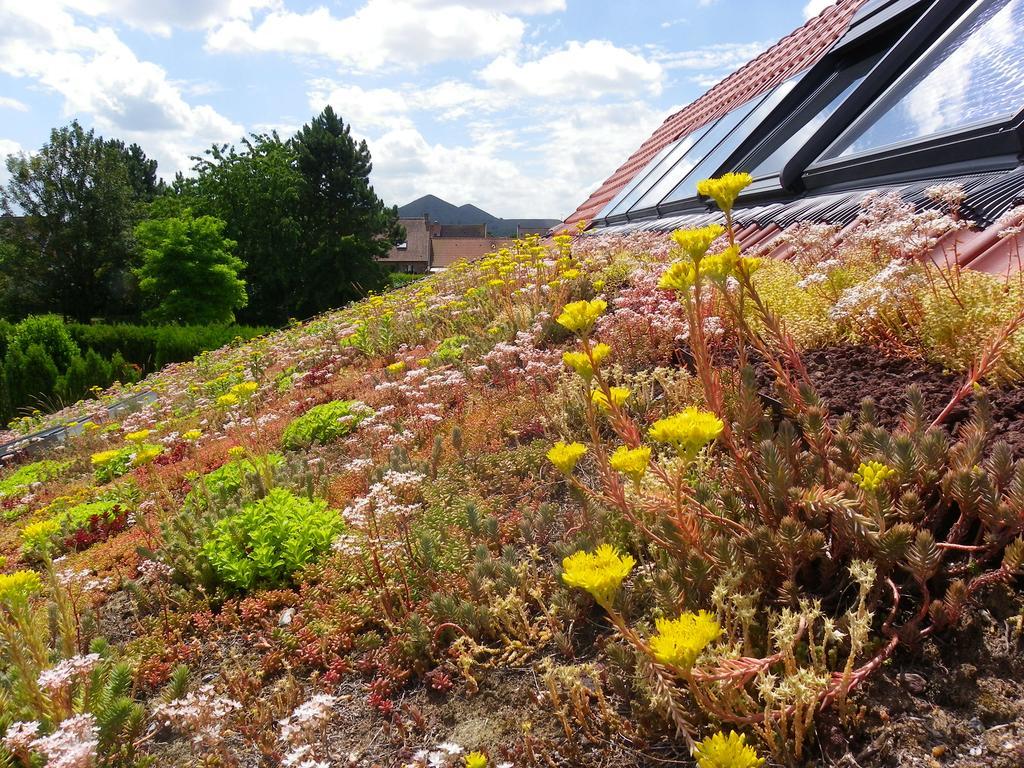 Loos-en-Gohelle Fleur De Cielヴィラ エクステリア 写真