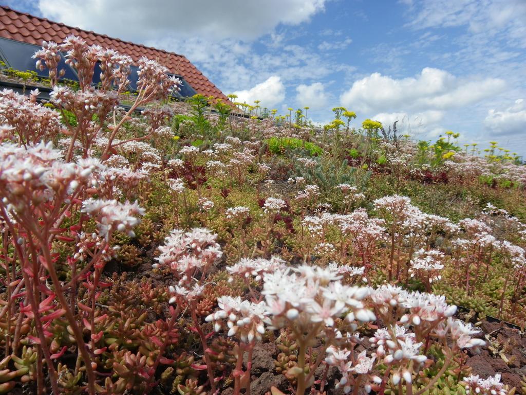 Loos-en-Gohelle Fleur De Cielヴィラ エクステリア 写真